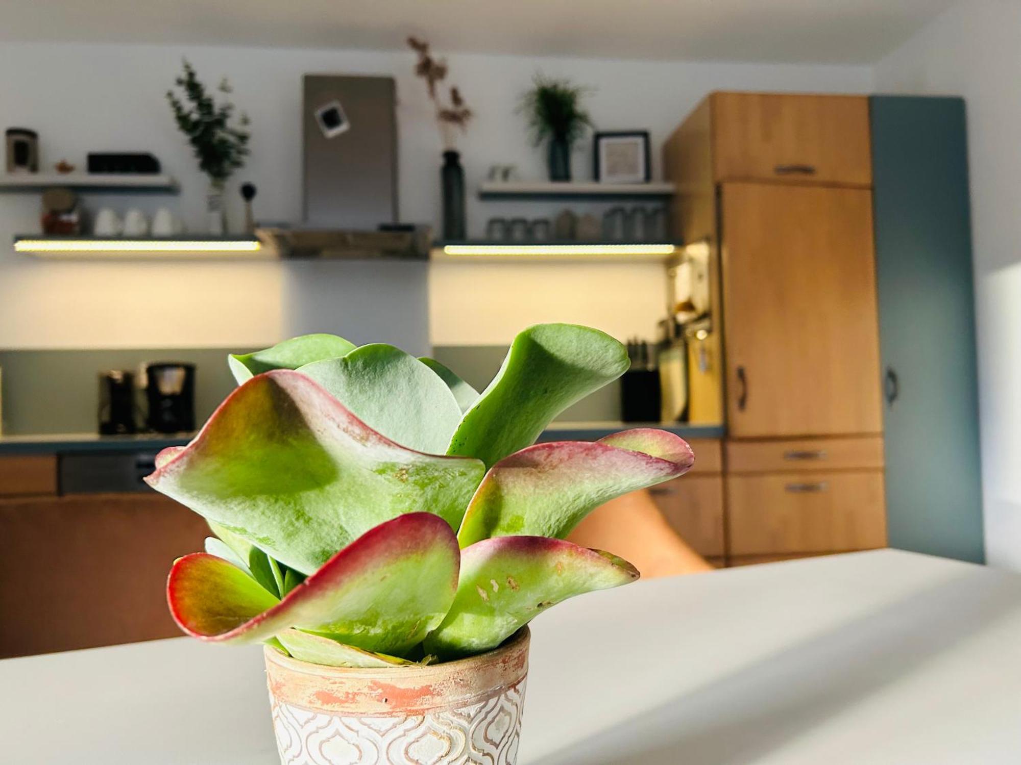 137Hideaway Ferienwohnung Eichstaett Екстериор снимка